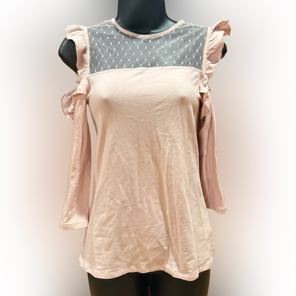 Express Blush Ruffle Mesh Blouse